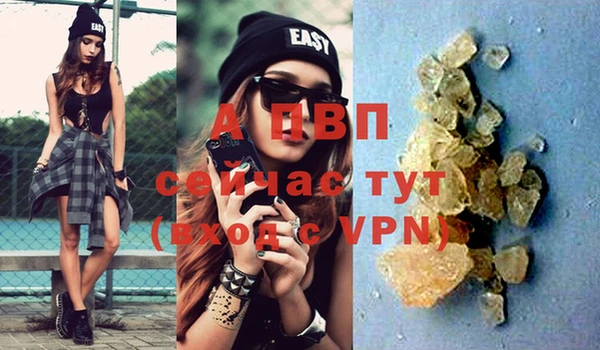 индика Кинешма