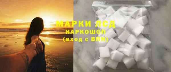 индика Кинешма