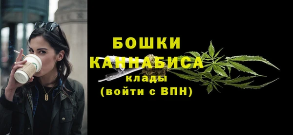 индика Кинешма