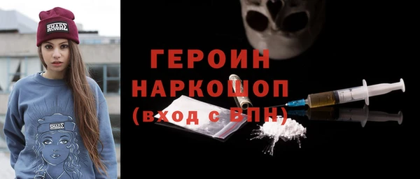 индика Кинешма