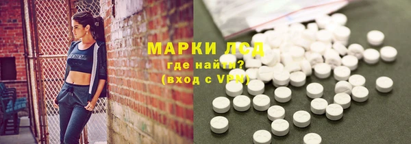индика Кинешма