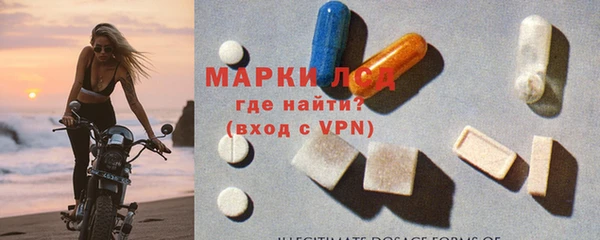 индика Кинешма