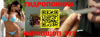 прущие крисы Краснодар