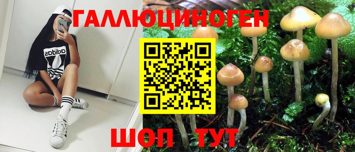 Галлюциногенные грибы Magic Shrooms Коркино