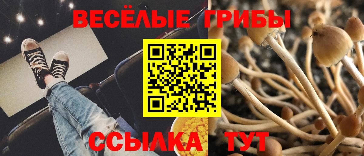 Псилоцибиновые грибы мицелий  Вход с VPN  Коркино  Галлюциногенные грибы прущие грибы 